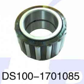 DS100-1701085