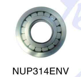 NUP314ENV