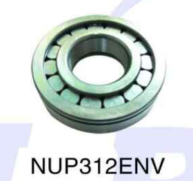 NUP312ENV