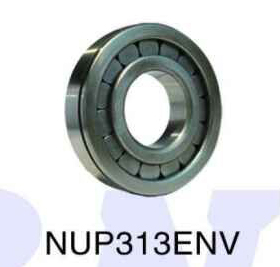 NUP313ENV