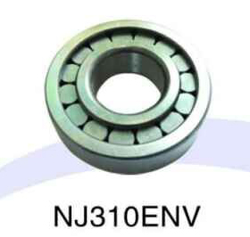 NJ310ENV