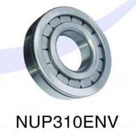 NUP310ENV