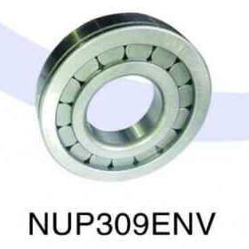 NUP309ENV