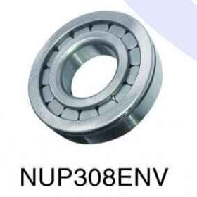 NUP308ENV