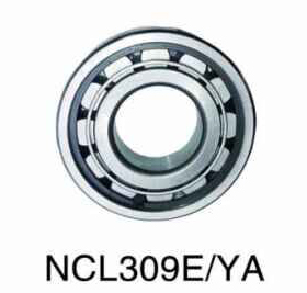 NCL309E/YA